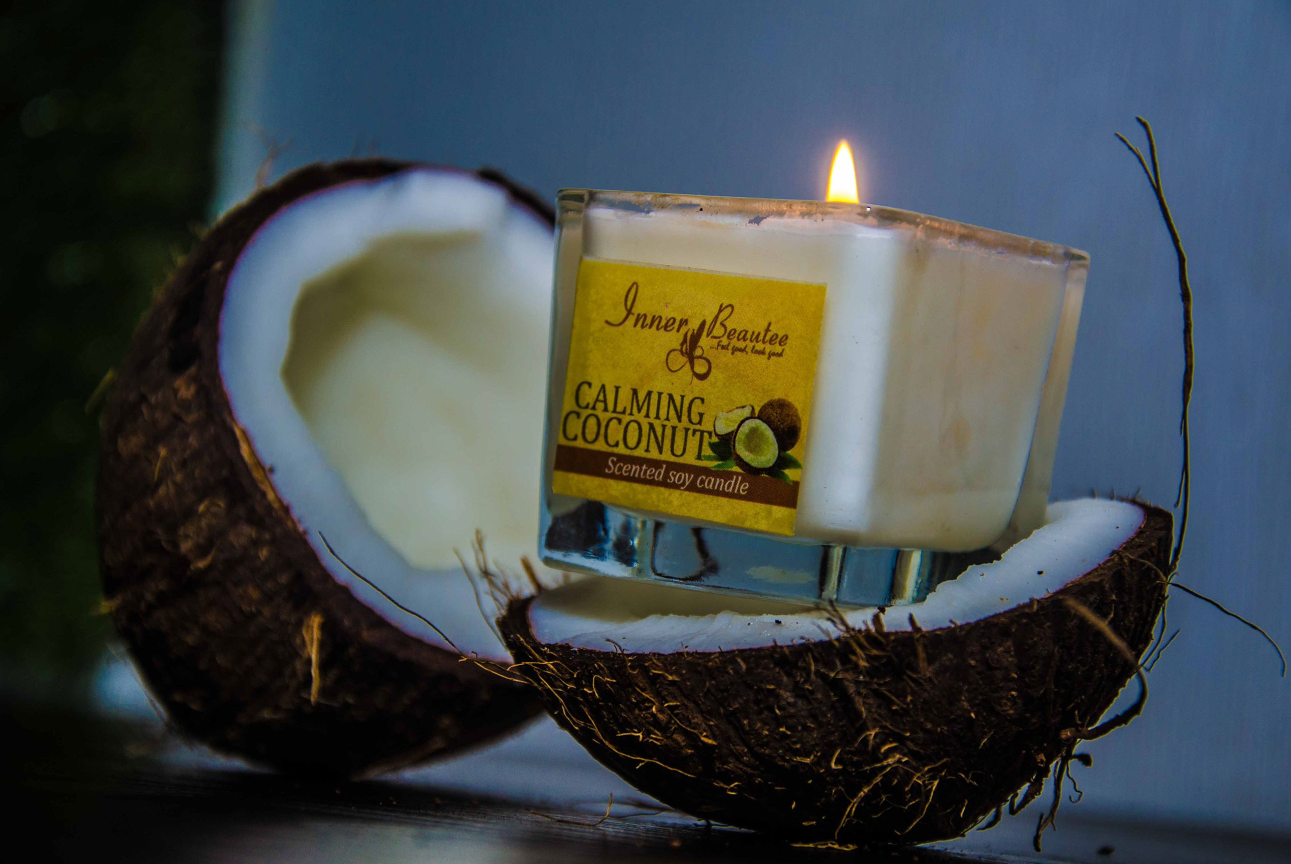 Calming Coconut Scented Candle-0
